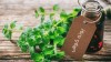 نحوه استفاده از روغن پونه کوهی (اورگانو) برای سلامتی