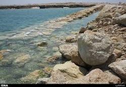  آقای کلانتری دوران جاهلیت یعنی جابه‌جایی ۶۰ هزار سنگ مرجانی در جزیره هندورابی!